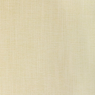 Kravet 36650 - 1111