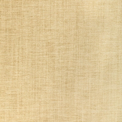 Kravet 36650 - 1116