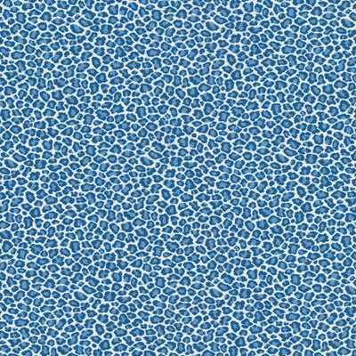 Stout Copycat 1 Bluebird