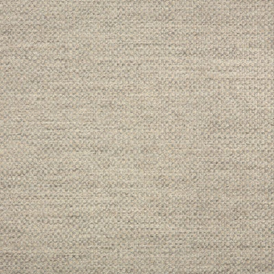 Sunbrella 44285-0001 Action Ash