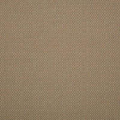 Sunbrella 44285-0003 Action Taupe