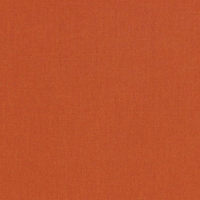 Sunbrella 54010 Canvas Rust