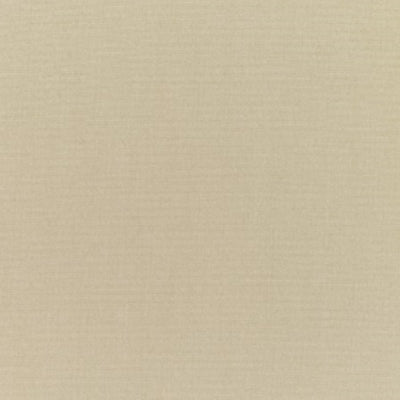 Sunbrella 5422 Canvas Antique Beige