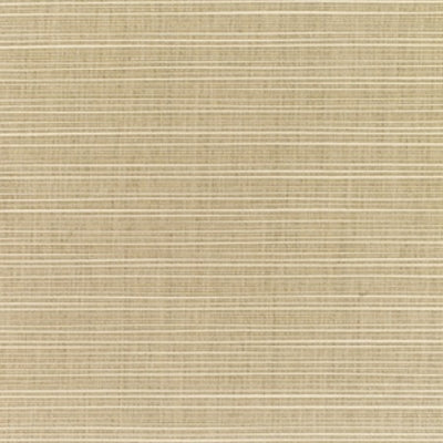 Sunbrella 8011 Dupione Sand