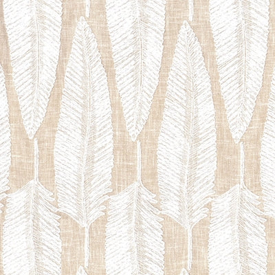 Stout Bewitched 1 Beige