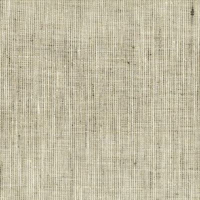 Stout Rembrandt 1 Nickel