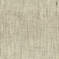 Stout Rembrandt 1 Nickel