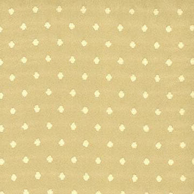 Kasmir CS120 - Almond