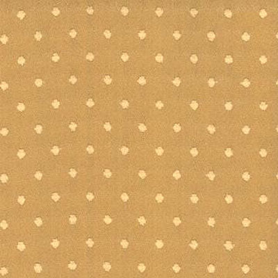 Kasmir CS120 - Honey