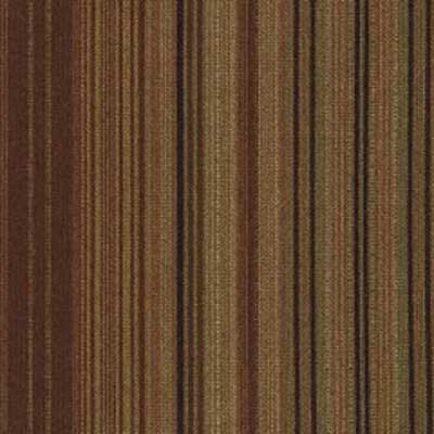 Robert Allen Sutra RR BK - Sable