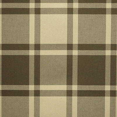 Ralph Lauren Calhoun Plaid - Olive