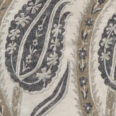 Braemore Tulip Charcoal