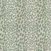Stout Kalahari 1 Bay
