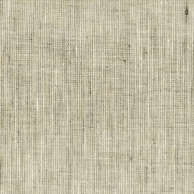 Stout Rembrandt 1 Nickel