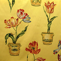 Thibaut Tulips - F91234